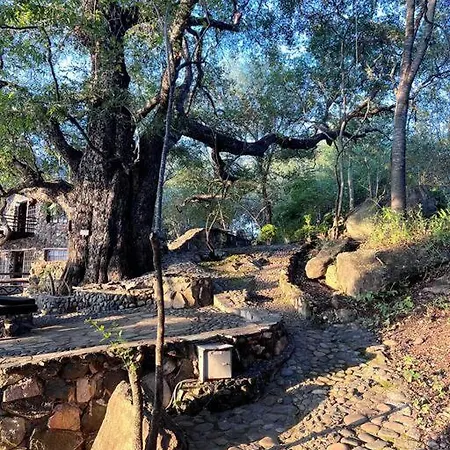 Jakkalsdraai River Bush Lodge Hoedspruit Exterior photo